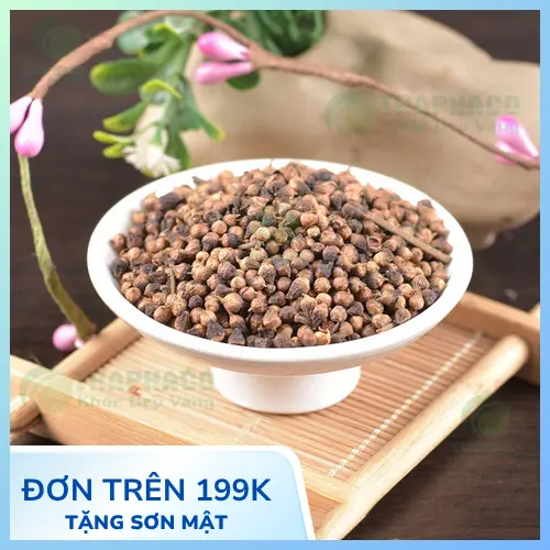 Dịch vụ vận chuyển nụ vối sấy khô số lượng lớn của THAPHACO