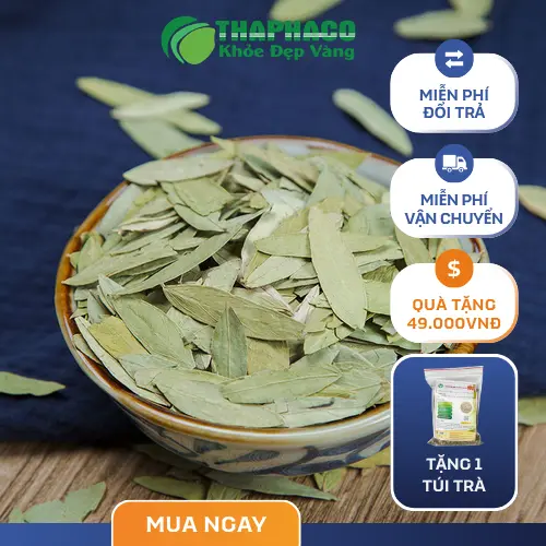 Phan Tả Diệp đã được sơ chế, đảm bảo vệ sinh an toàn