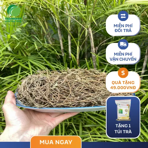 Hình ảnh Sài đất tươi