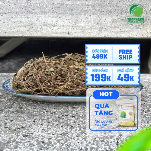 Sài đất tươi sau khi thu hoạch