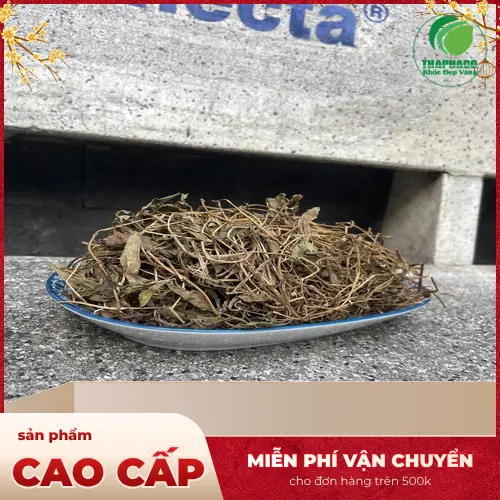 Quy trình sản xuất sài đất sấy khô đạt chuẩn của THAPHACO
