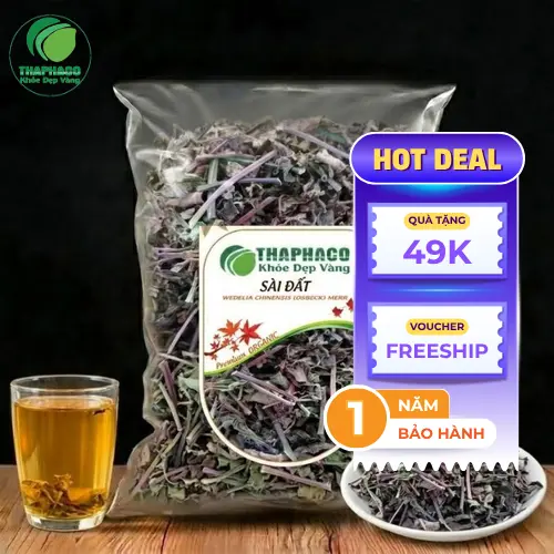 Sài đất khô THAPHACO đảm bảo không tạp chất, dược tính cao