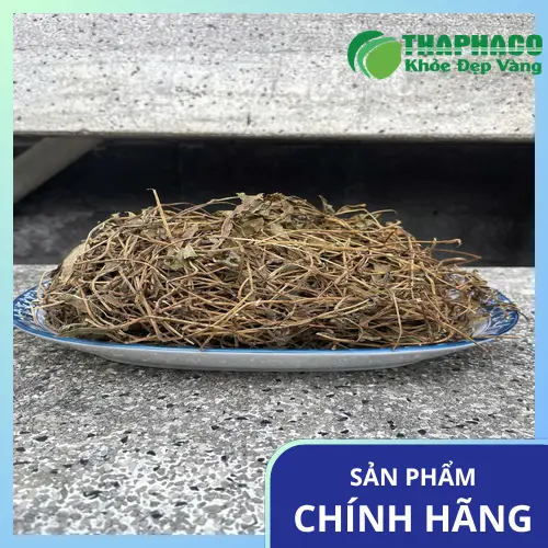Sài đất khô đã được đóng gói cẩn thận