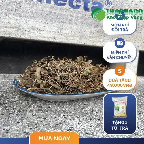 Sài đất sấy khô chất lượng cao của THAPHACO