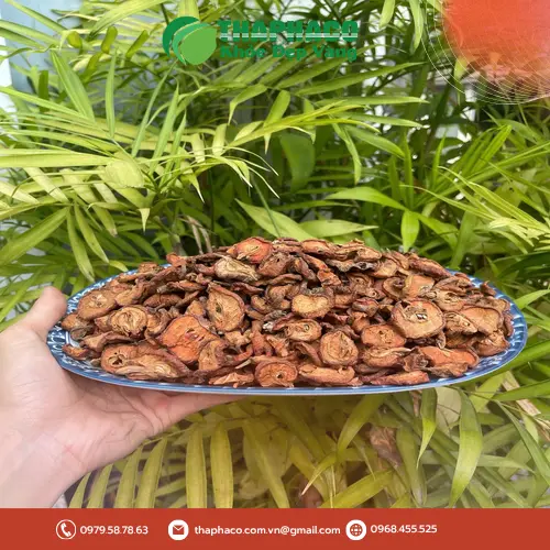 Táo mèo sấy khô đã được đóng gói cẩn thận