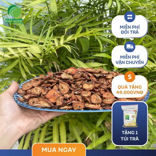 Táo mèo sấy khô chất lượng tại THAPHACO