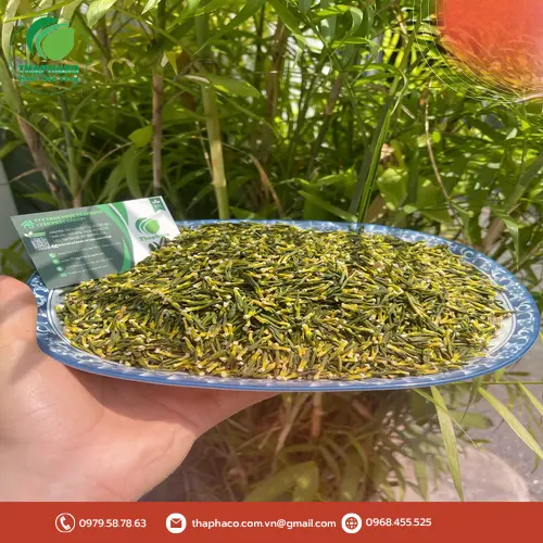 Người dùng đang pha trà tim sen đúng cách để tận hưởng lợi ích