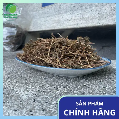 Tầm quan trọng của giấc ngủ ngon đối với sức khỏe và tinh thần