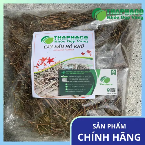 Cây xấu hổ khô THAPHACO chất lượng cao