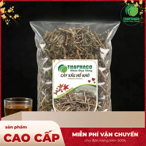 Cây xấu hổ - Dược liệu dân gian với nhiều công dụng