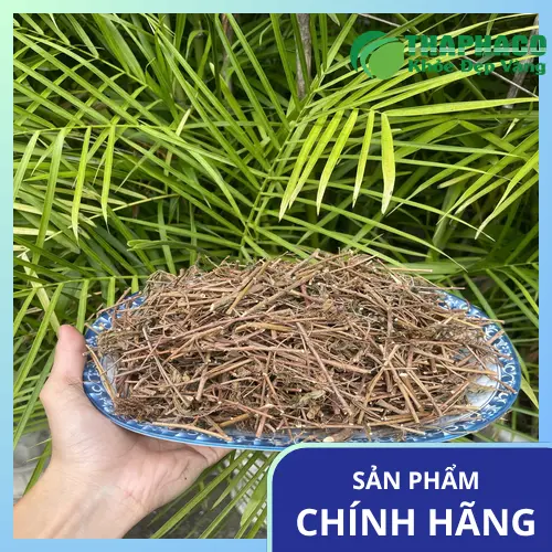 Rễ cây xấu hổ khô đã được sơ chế