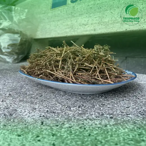 Cách dùng cây xấu hổ khô hiệu quả