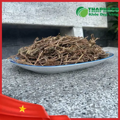 Hướng dẫn sử dụng cây xấu hổ khô hiệu quả