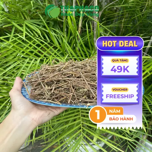 Quy trình đóng gói cây xấu hổ tại Dược Liệu Sỉ THAPHACO