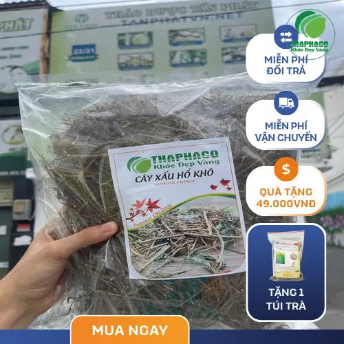 Kho dược liệu sỉ lớn tại THAPHACO TP.HCM