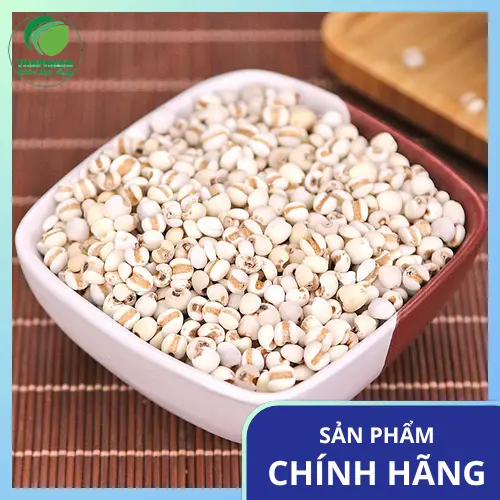 Các yếu tố ảnh hưởng đến thời gian sử dụng ý dĩ