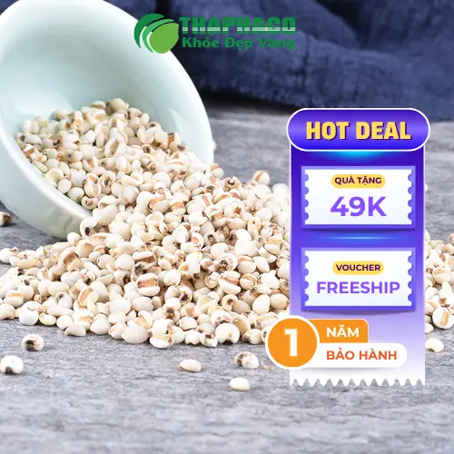 Hình ảnh ý dĩ được chế biến thành món ăn thơm ngon, bổ dưỡng