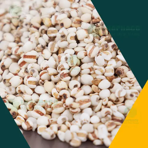 Trà sơn mật thơm ngon, thanh mát từ THAPHACO