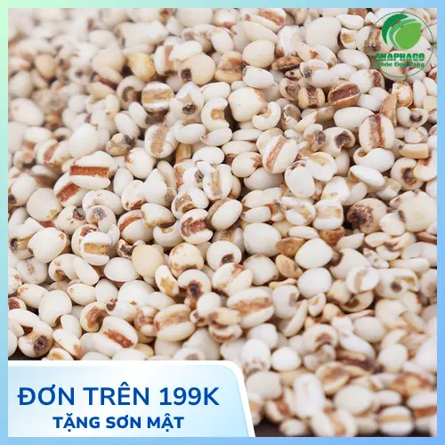 Cách bảo quản ý dĩ để kéo dài thời gian sử dụng