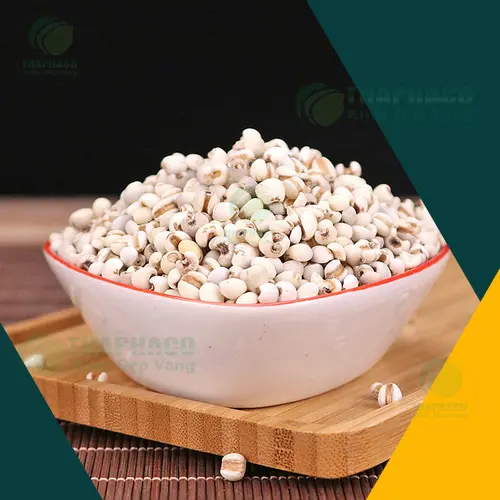 Sản phẩm ý dĩ THAPHACO được đóng gói cẩn thận, đảm bảo chất lượng