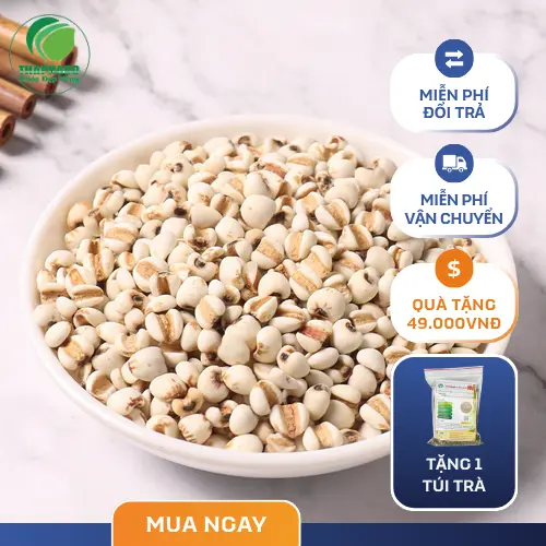 Món chè ý dĩ đậu xanh thanh mát