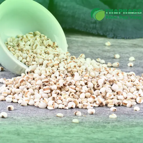 Phản hồi tích cực từ khách hàng về chất lượng ý dĩ của THAPHACO