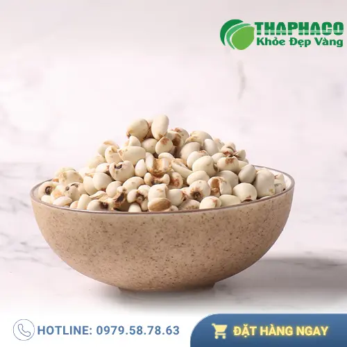 Sữa hạt ý dĩ thơm ngon bổ dưỡng