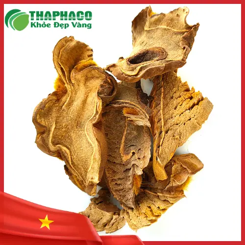 Hình ảnh cẩu tích đã được thái lát và phơi khô