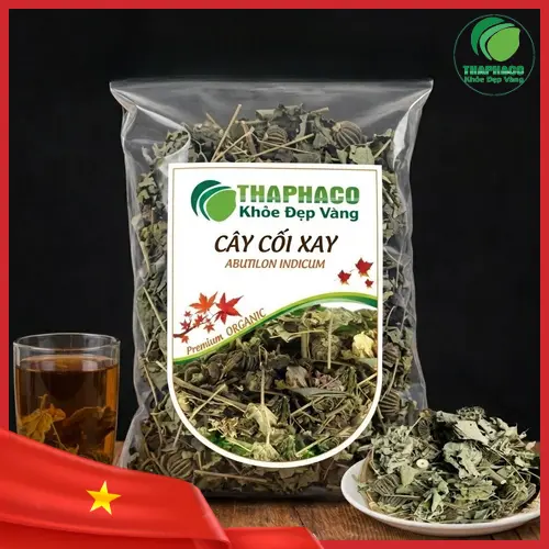 Hình ảnh cây cối xay tươi tại THAPHACO, chuẩn bị cho quá trình thu hoạch và chế biến dược liệu sỉ.