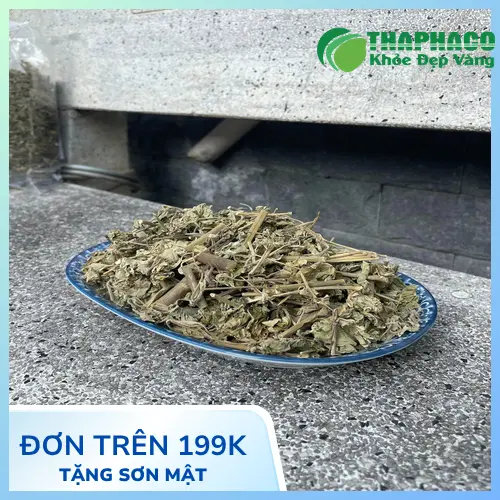 Sản phẩm cây cối xay khô đã qua sơ chế tại THAPHACO, đóng gói cẩn thận, sẵn sàng để xuất khẩu và cung cấp sỉ dược liệu.