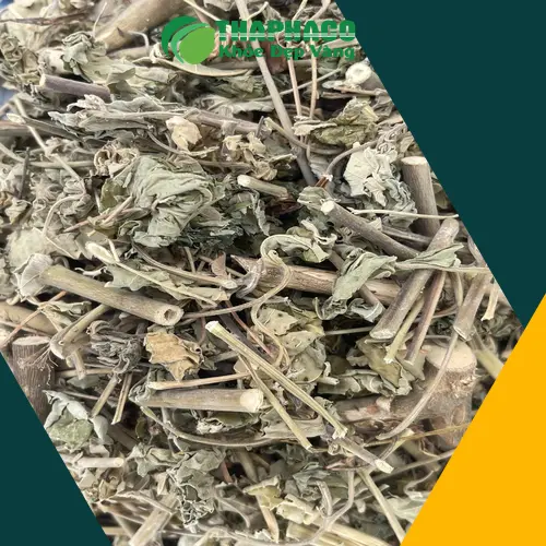 Cách sắc trà cây cối xay sấy khô