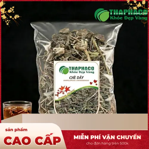Công dụng chè dây khô hỗ trợ dạ dày