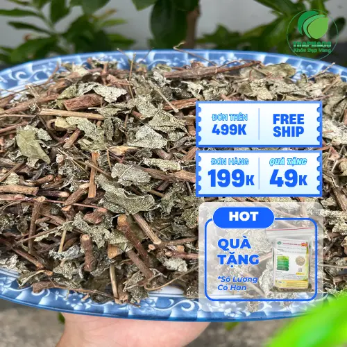 Công dụng hỗ trợ tiêu hóa và an thần của chè dây