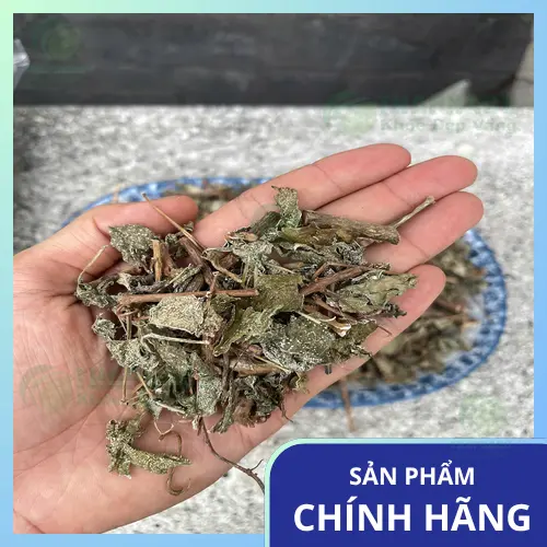 Cách pha chè dây khô THAPHACO