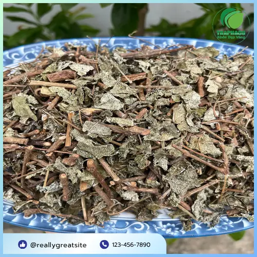 Quy trình sơ chế chè dây tại THAPHACO