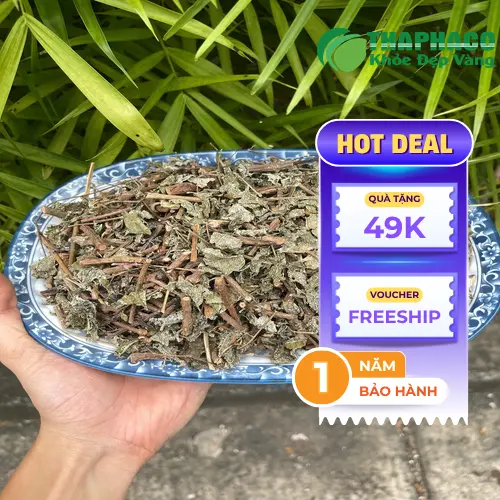 Công dụng hỗ trợ tiêu hóa của chè dây