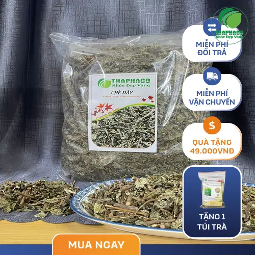 Cây chè dây tự nhiên