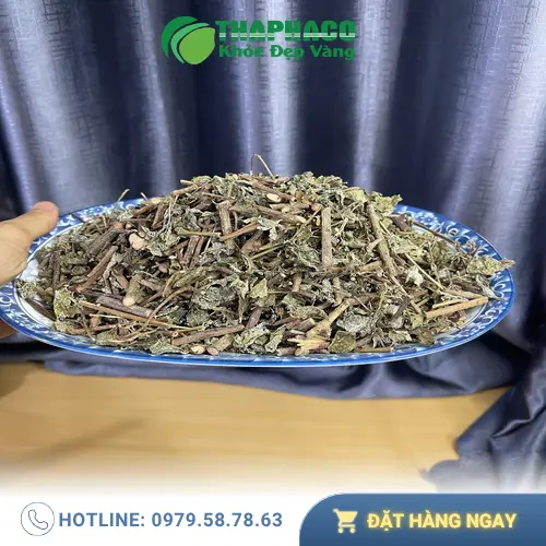 Kiểm tra độ khô của chè dây bằng cách chạm tay