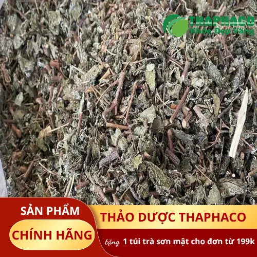 Địa chỉ mua chè dây khô THAPHACO uy tín
