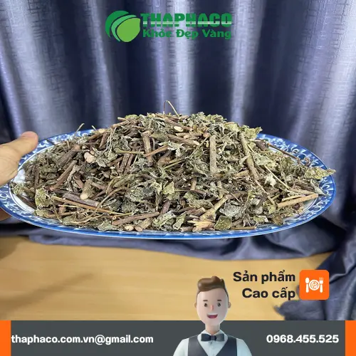 Công dụng chè dây giảm viêm loét