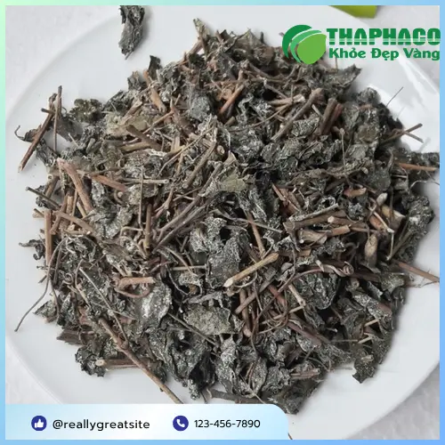 Cách bảo quản chè dây khô đúng cách: hộp kín, nơi khô ráo, thoáng mát