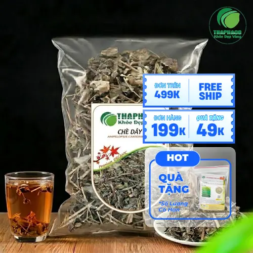 Sản phẩm chè dây chất lượng cao từ THAPHACO