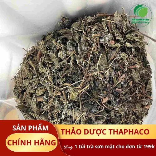 Lưu ý khi dùng chè dây: Đối tượng không nên dùng và không thay thế thuốc