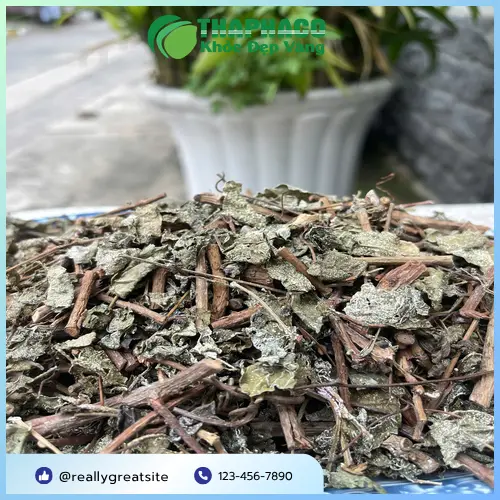 Bảo quản chè dây khô đúng cách