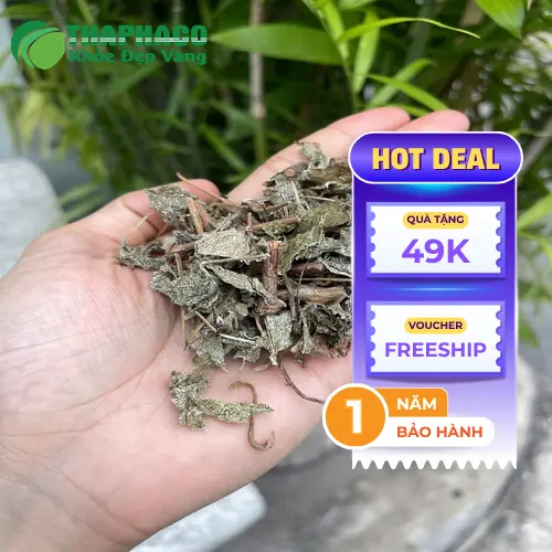Cách bảo quản và sử dụng chè dây đúng cách