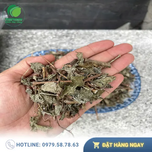 Địa chỉ mua chè dây sấy khô uy tín tại TP.HCM