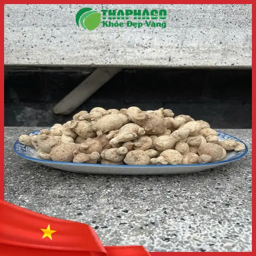 Củ tam thất nam nguyên củ tươi và khô