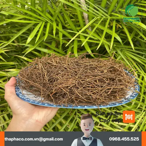 Dây tơ hồng khô dùng để pha trà dưỡng sinh