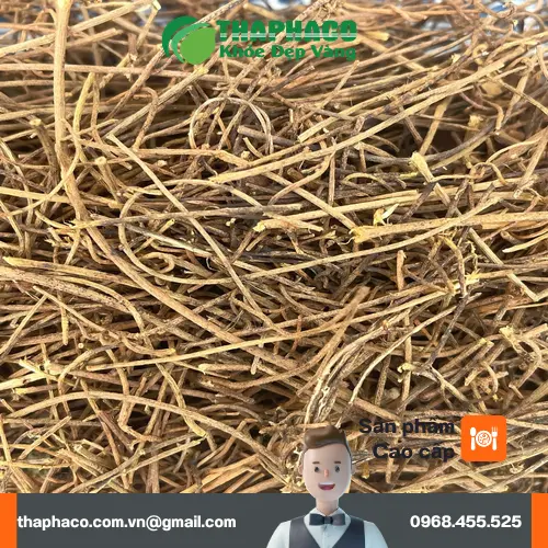 Dây tơ hồng khô được sơ chế