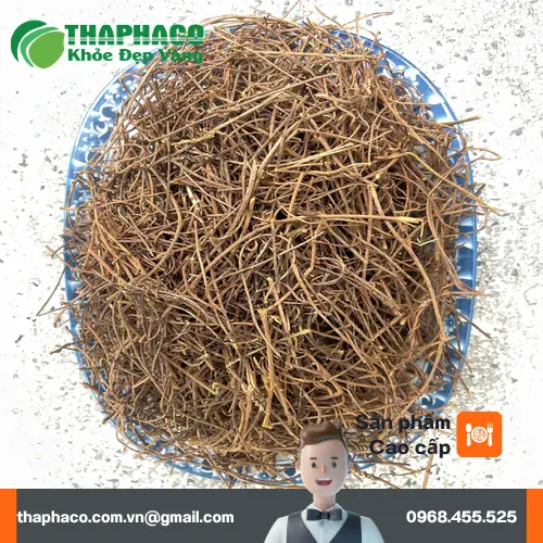 Sản phẩm dây tơ hồng chất lượng từ THAPHACO